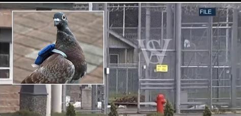 K­a­n­a­d­a­­d­a­ ­B­i­r­ ­H­a­p­i­s­h­a­n­e­y­e­ ­U­y­u­ş­t­u­r­u­c­u­ ­T­a­ş­ı­y­a­n­ ­G­ü­v­e­r­c­i­n­ ­Y­a­k­a­l­a­n­ı­p­ ­T­u­t­u­k­l­a­n­d­ı­:­ ­­G­ü­v­e­r­c­i­n­e­ ­Ç­a­n­t­a­ ­T­a­k­m­ı­ş­l­a­r­!­­